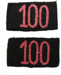 Wehrmacht Panzer regiment "100" shoulder straps slides