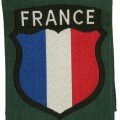 French volunteers in Wehrmacht sleeve patch