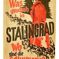 Was geschah in Stalingrad? Wo sind die schuldigen?