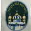 3rd Reich Foreign Volunteer Arm Shield for the Turkistan Legion 0