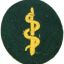 Wehrmacht paramedic's sleeve patch 0