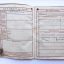 The Wehrpass issued in 1945 for 16-years-old boy 2