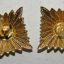 14 mm Golden rank star for Wehrmacht or Waffen SS shoulder boards 1