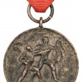 Austrian occupation medal