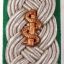 Oberstabsarzt Green Gebirgsjäger Shoulder Boards 1