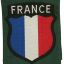 French volunteers in Wehrmacht sleeve patch 0