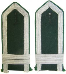 Eastern volunteers shoulder straps-Turkestan. RARE!