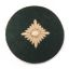 Oberschütze Rank Insignia 0