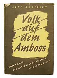 Volk auf dem Amboß, Kampfabschnitt Österreich 1933 – 1935
