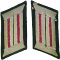 WH Veterinary or HQ collar tabs