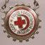 Badge “Ready for the sanitary defense of the USSR” No. E65902 "У. П. П. Ленобл /РОКК” 2