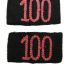 Wehrmacht Panzer regiment "100" shoulder straps slides 0