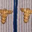 Administrative Official's Sew-In Shoulder Boards 1
