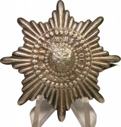 Imperial Russian cockade for guards troops M 1881