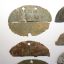 A set of disjointed halves of German ww2 dogtags 1