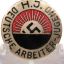 Hitler Youth squads badge issued before 1935 0