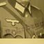 German Lieutenant's portrait in Feldbluse and crusher style visor 1