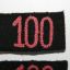 Wehrmacht Panzer regiment "100" shoulder straps slides 1