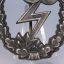 Luftwaffe Ground Assault Badge G.B. Brehmer. 2