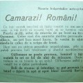 Soviet Leaflet for Romanian troops. Kurland Pocket!